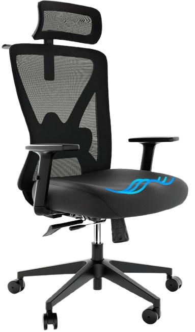 Adjustable Standing Desk 120 x 72 cm Black and White DESTINAS